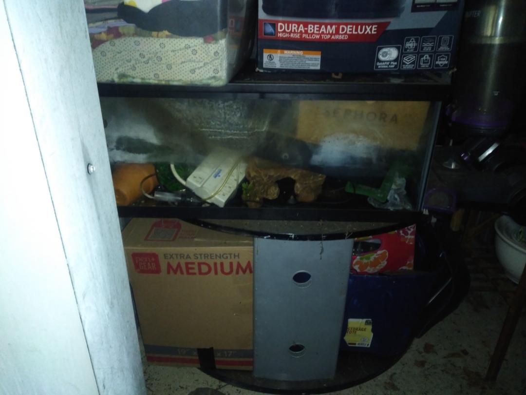 Storage Unit Auction in Stroudsburg, PA at Dove Storage Stroudsburg